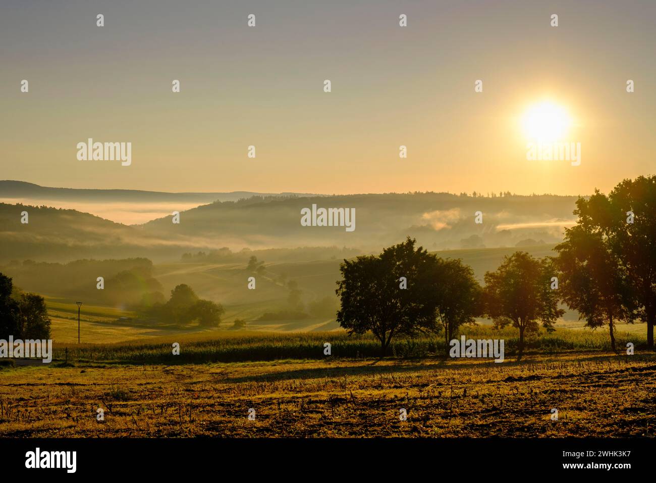 Brouillard matinal sur la vallée de Werra, Weissenborn près d'Eschwege, quartier de Werra-Meissner, vallée de Werra, Hesse du Nord, Hesse, Allemagne Banque D'Images