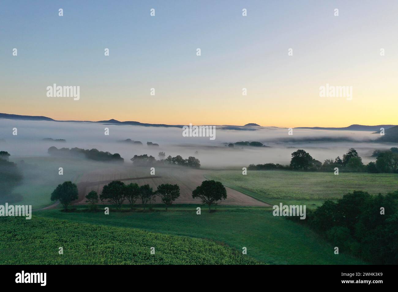 Brouillard matinal sur la vallée de Werra, depuis le Schlierbachsattel, Oberduenzenbach près d'Eschwege, quartier de Werra-Meissner, vallée de Werra, Hesse du Nord Banque D'Images