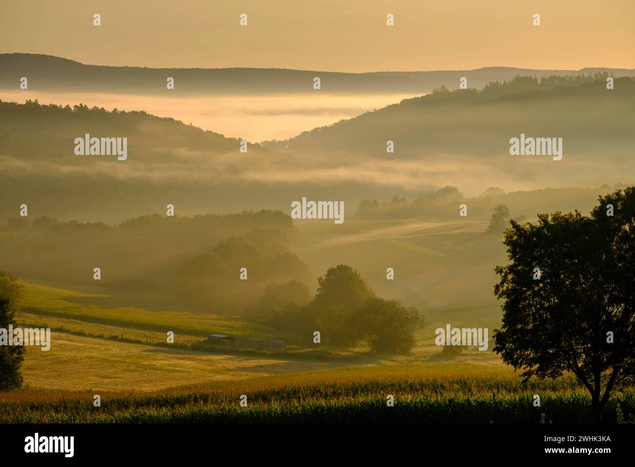 Brouillard matinal sur la vallée de Werra, Weissenborn près d'Eschwege, quartier de Werra-Meissner, vallée de Werra, Hesse du Nord, Hesse, Allemagne Banque D'Images