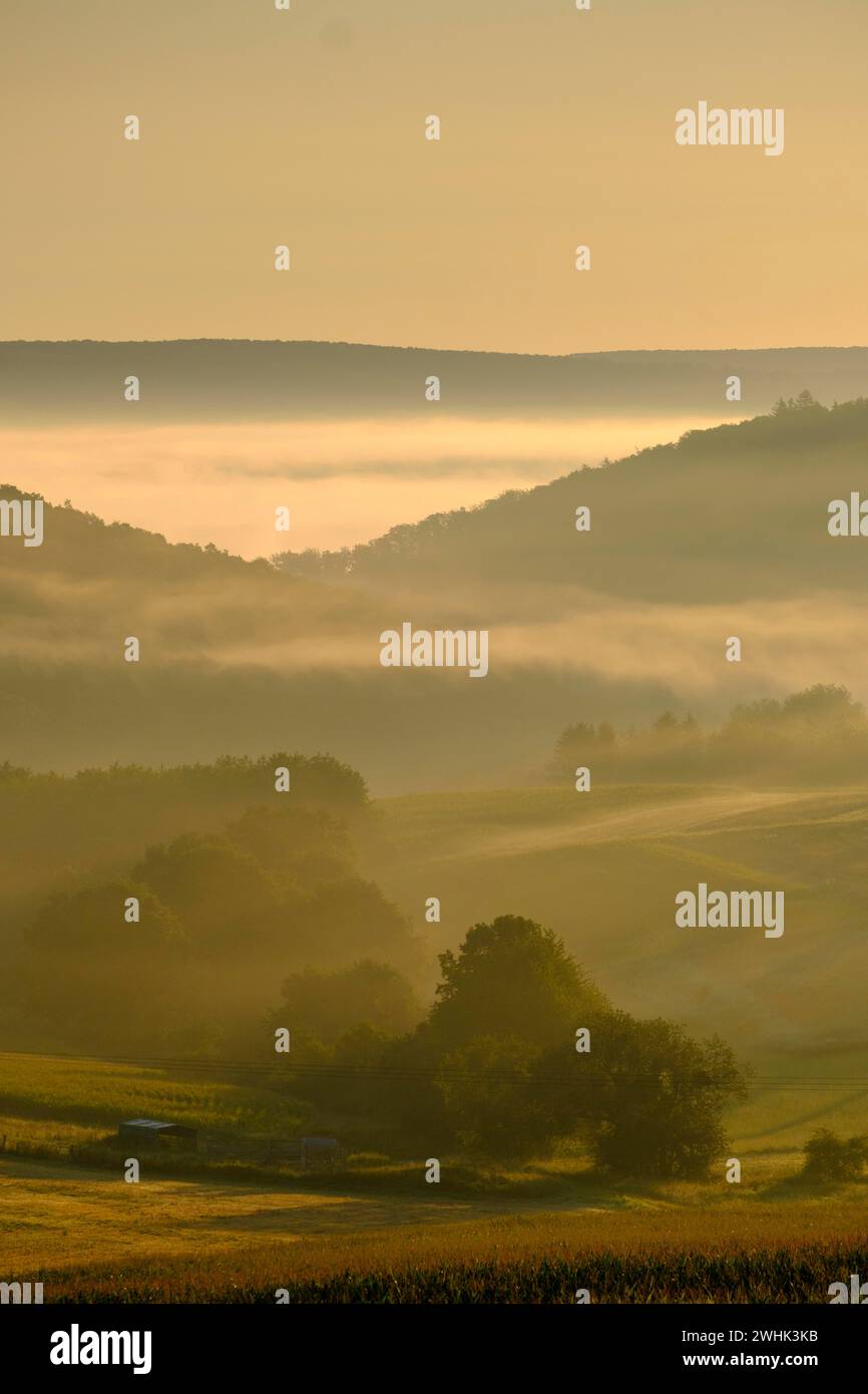 Brouillard matinal sur la vallée de Werra, Weissenborn près d'Eschwege, quartier de Werra-Meissner, vallée de Werra, Hesse du Nord, Hesse, Allemagne Banque D'Images