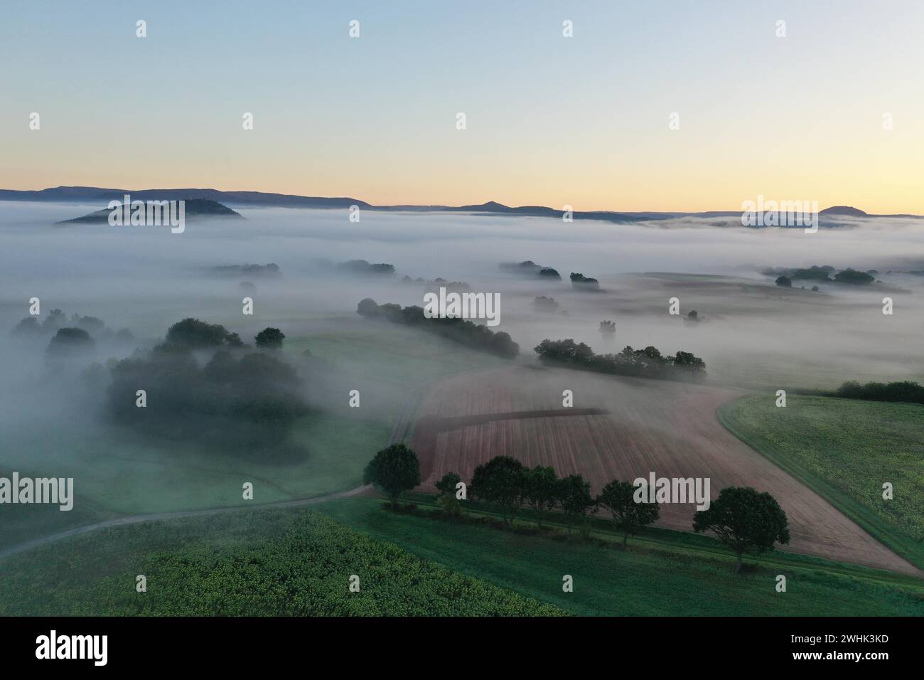 Brouillard matinal sur la vallée de Werra, depuis le Schlierbachsattel, Oberduenzenbach près d'Eschwege, quartier de Werra-Meissner, vallée de Werra, Hesse du Nord Banque D'Images