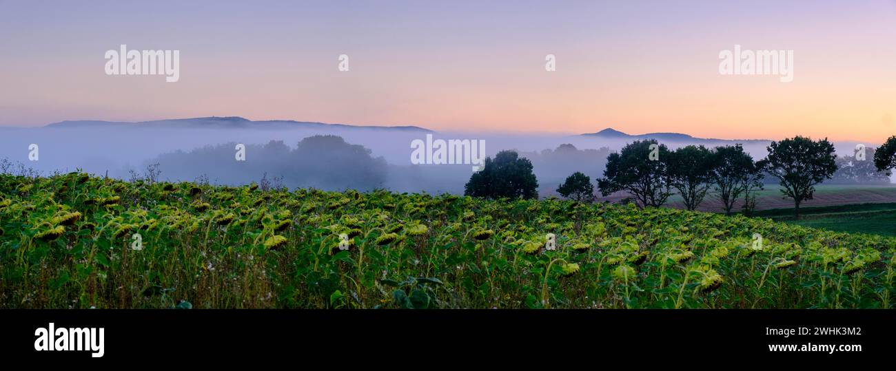 Brouillard matinal sur la vallée de Werra, depuis le Schlierbachsattel, Oberduenzenbach près d'Eschwege, quartier de Werra-Meissner, vallée de Werra, Hesse du Nord Banque D'Images