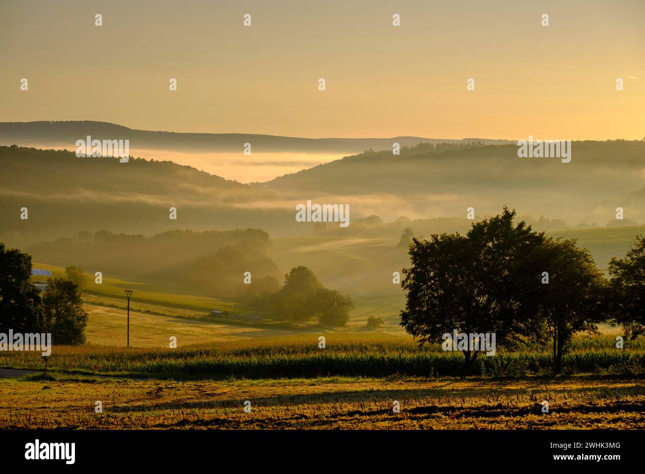 Brouillard matinal sur la vallée de Werra, Weissenborn près d'Eschwege, quartier de Werra-Meissner, vallée de Werra, Hesse du Nord, Hesse, Allemagne Banque D'Images