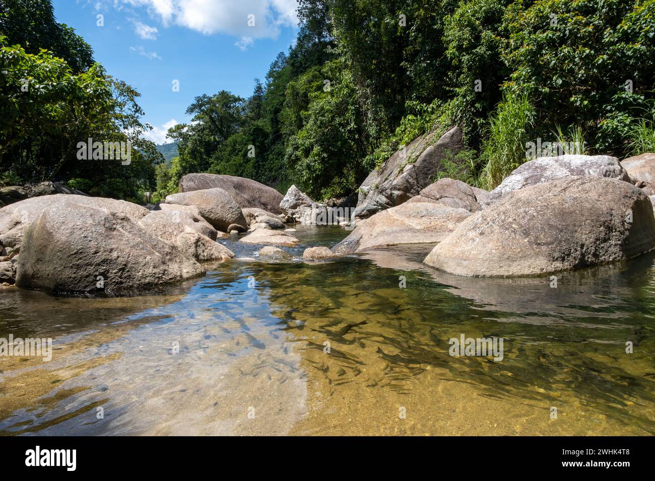 Cascade de Wang mai Pak, LAN Saka, Nakhon si Thammarat, Thaïlande. Banque D'Images