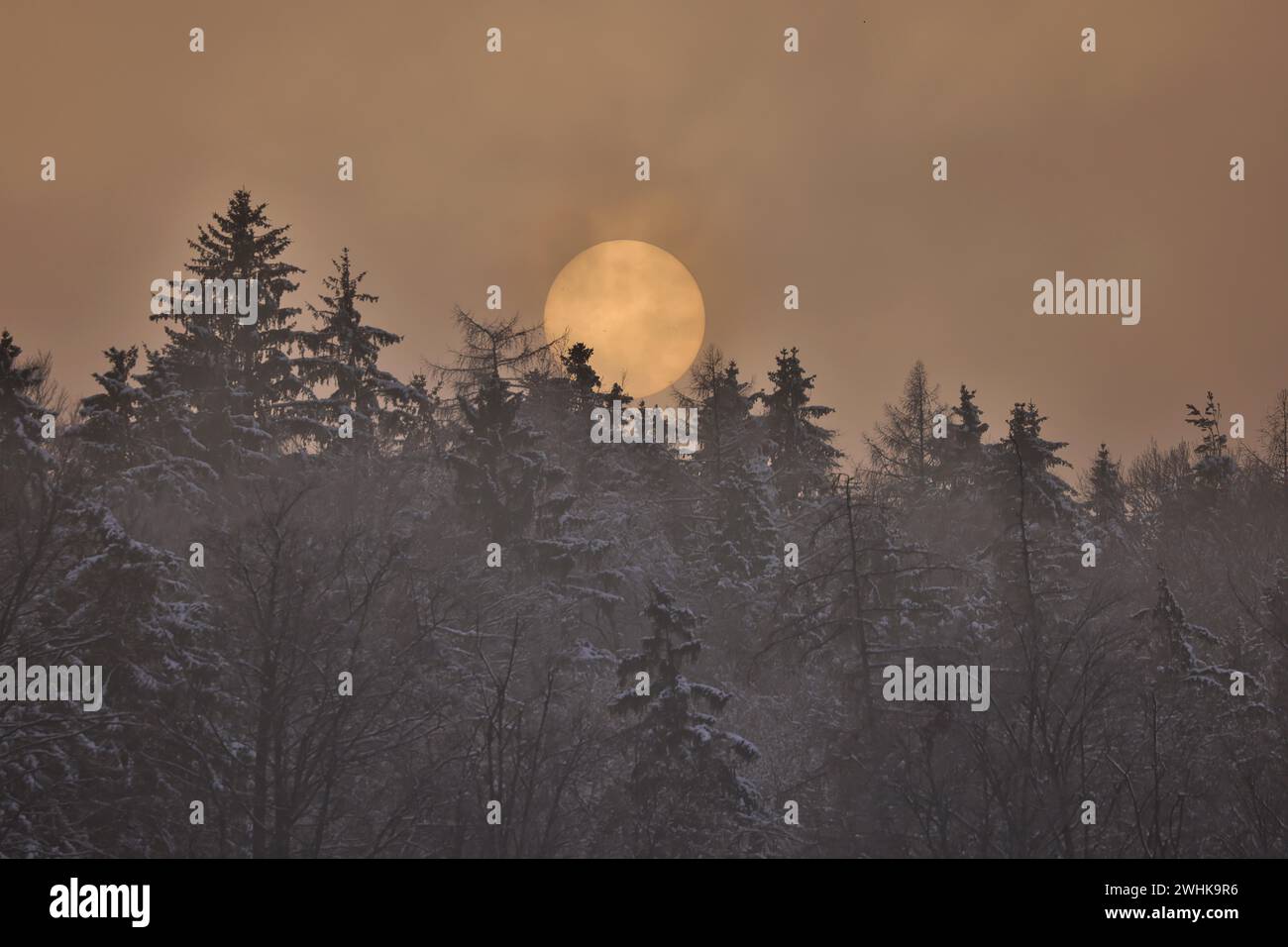 Le disque solaire se couche derrière une forêt enneigée par temps brumeux, lumière du soir rougeâtre, haute Bavière, Bavière, Allemagne Banque D'Images