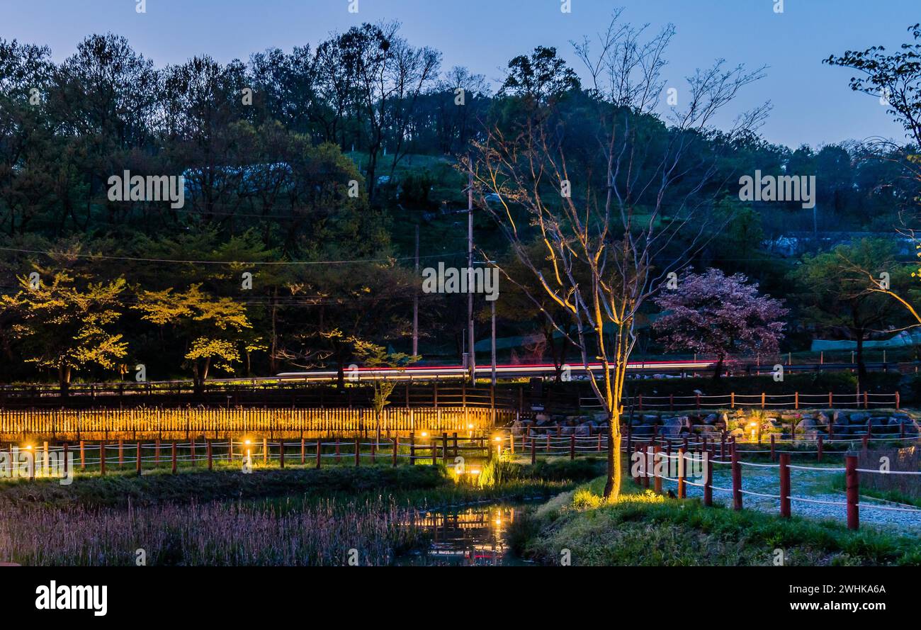 Beau paysage d'un parc de campagne avec petit étang et passerelle de corde pris la nuit Banque D'Images