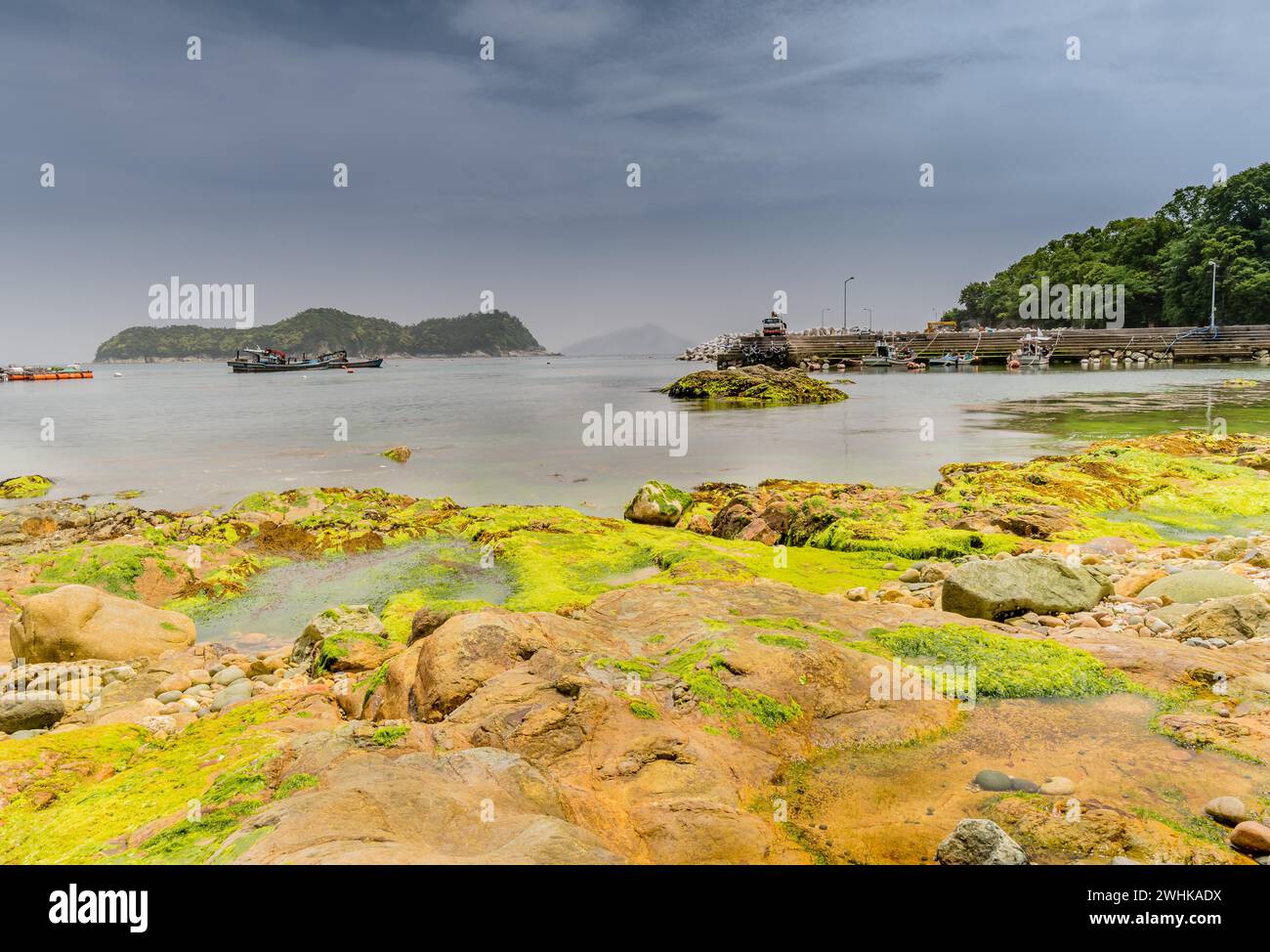 Paysage marin d'un rivage de gros rochers couverts d'algues vertes avec des bateaux dans la mer devant une île et un quai dans le cadre droit Banque D'Images