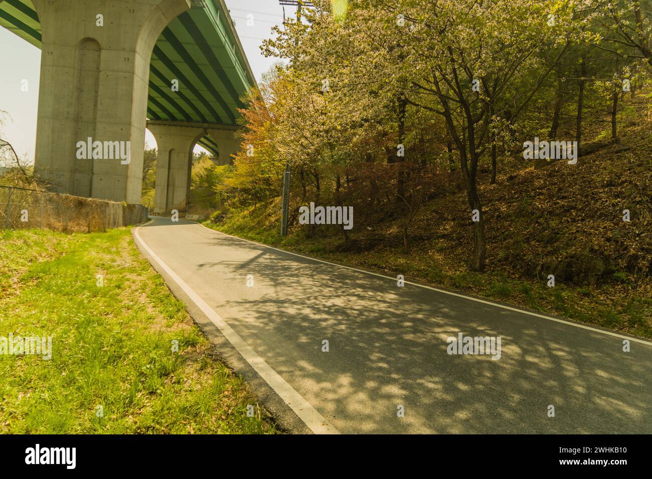 Route de campagne bordée d'arbres fonctionnant sous le pont autoroutier par un après-midi ensoleillé Banque D'Images