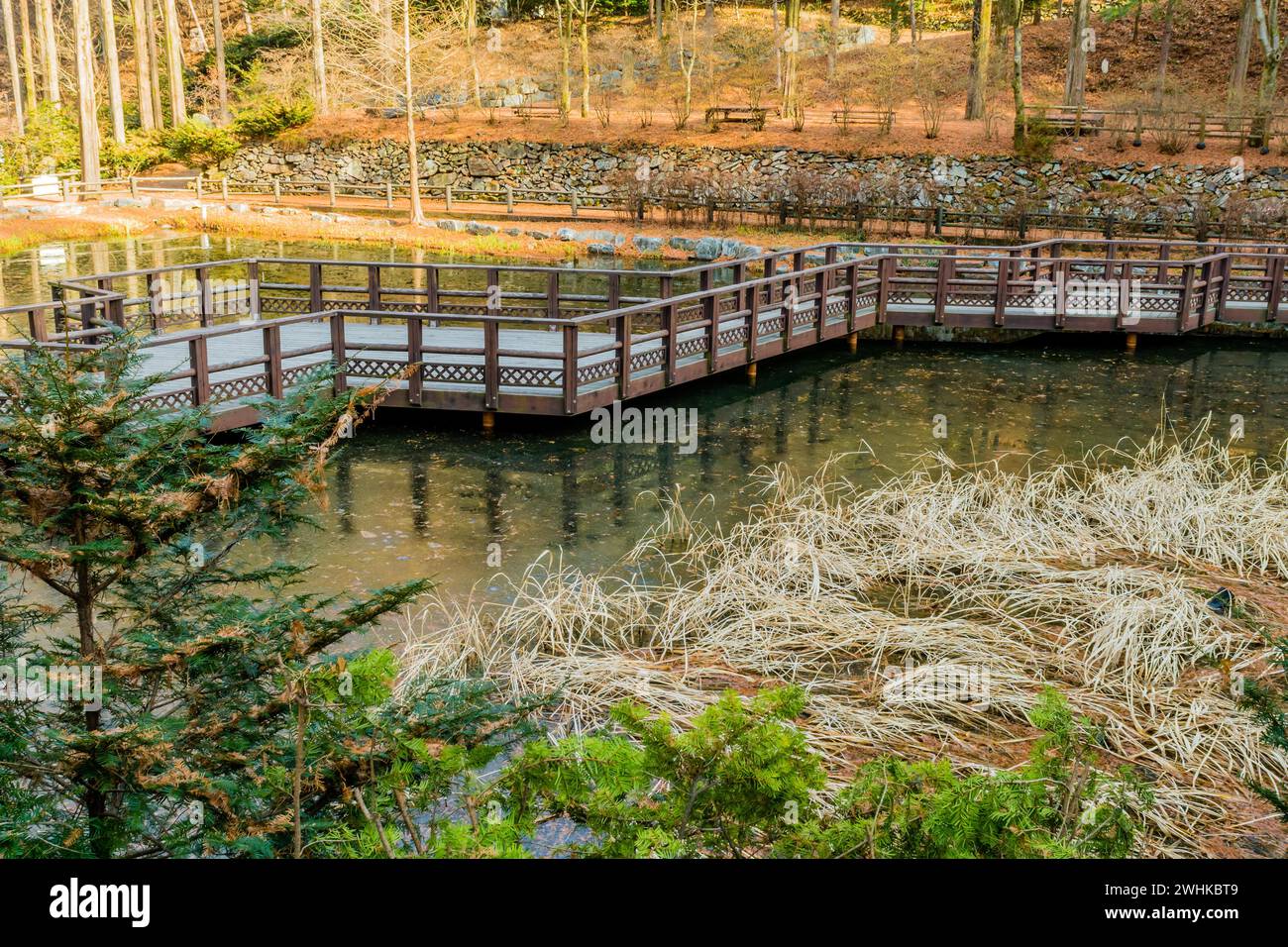 Passerelle surélevée en bois avec main courante au-dessus de l'étang dans le parc public en Corée du Sud Banque D'Images