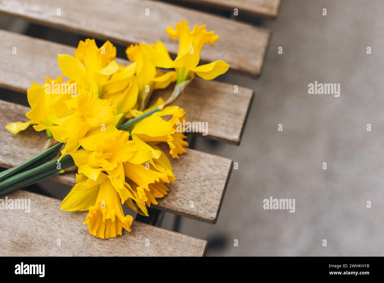 Belles fleurs de jonquille jaune (narcisse) sur une table en bois dans un café de rue. Placer pour le texte. Banque D'Images