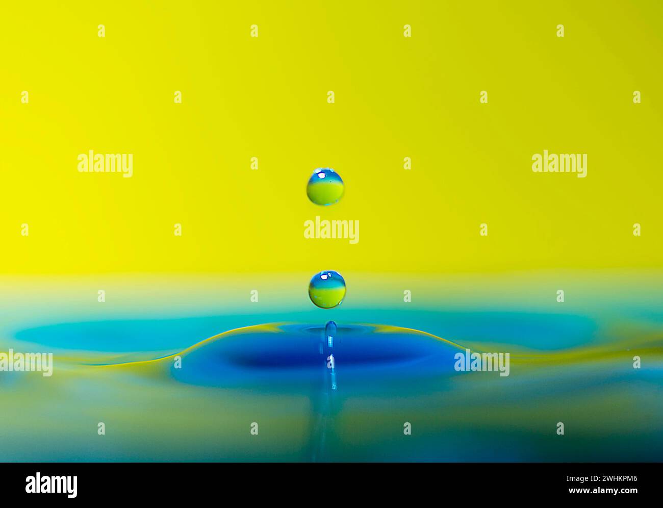 Chute de goutte d'eau tombe sur la surface de l'eau, fond coloré, photo de studio Banque D'Images