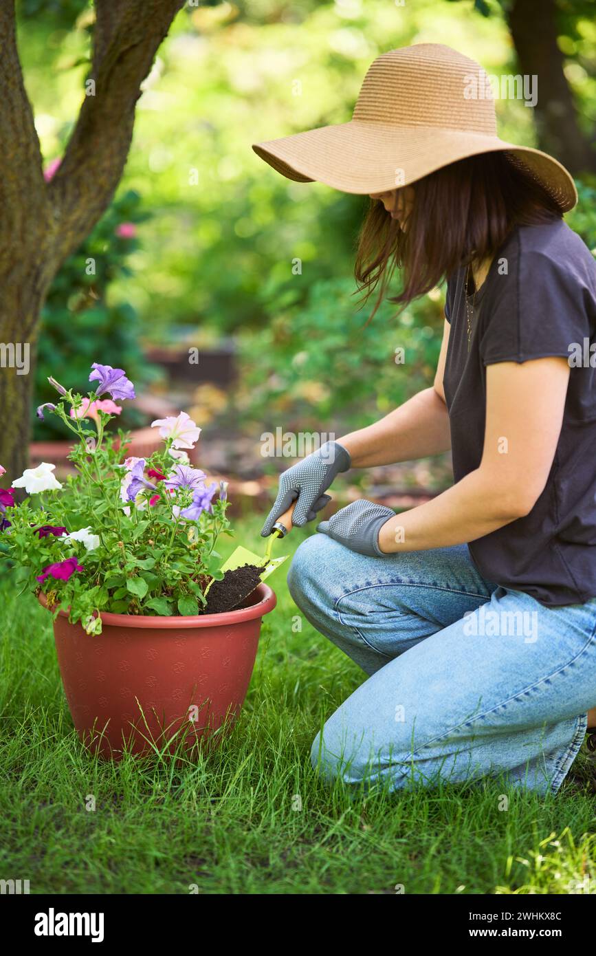Jardinière femelle plantant des fleurs dans le jardin, se soucie des fleurs dans la cour arrière Banque D'Images