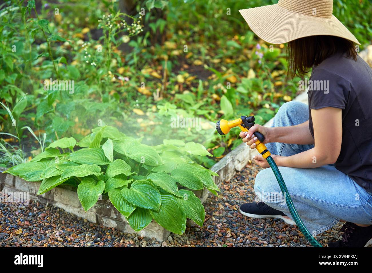 Jeune femme dans le chapeau arrosant des fleurs et des plantes dans le jardin avec tuyau dans la cour ensoleillée fleurissant Banque D'Images