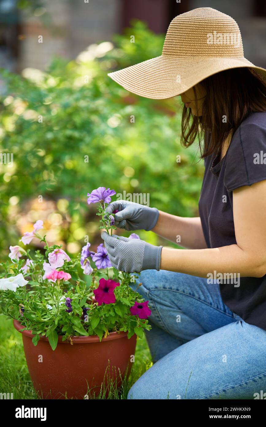 Jardinière femelle plantant des fleurs dans le jardin, se soucie des fleurs dans la cour arrière Banque D'Images