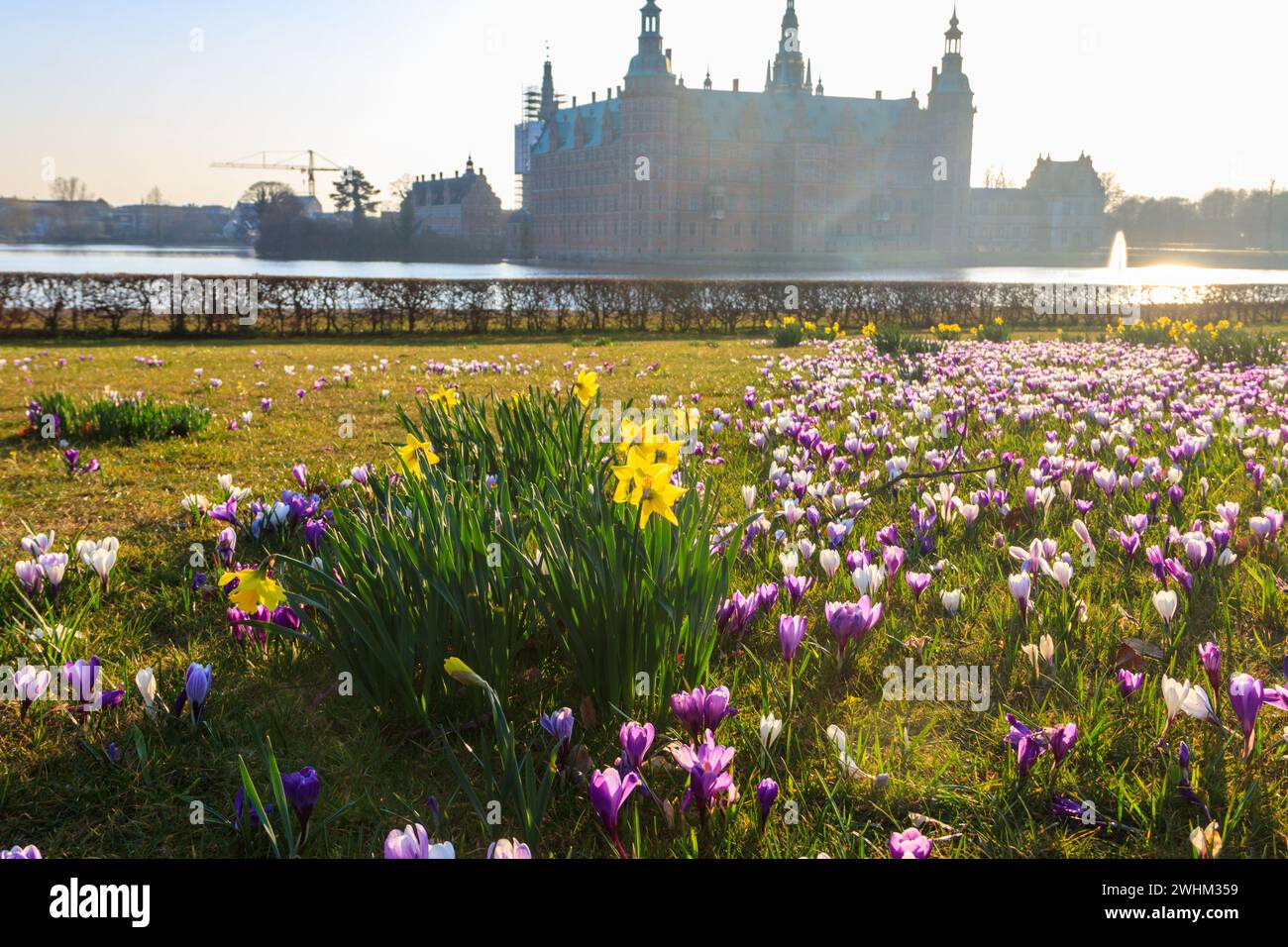 Vue sur le château de Frederiksborg à Hillerod, Danemark. Beau lac et jardin avec des crocodiles et des jonquilles en premier plan Banque D'Images