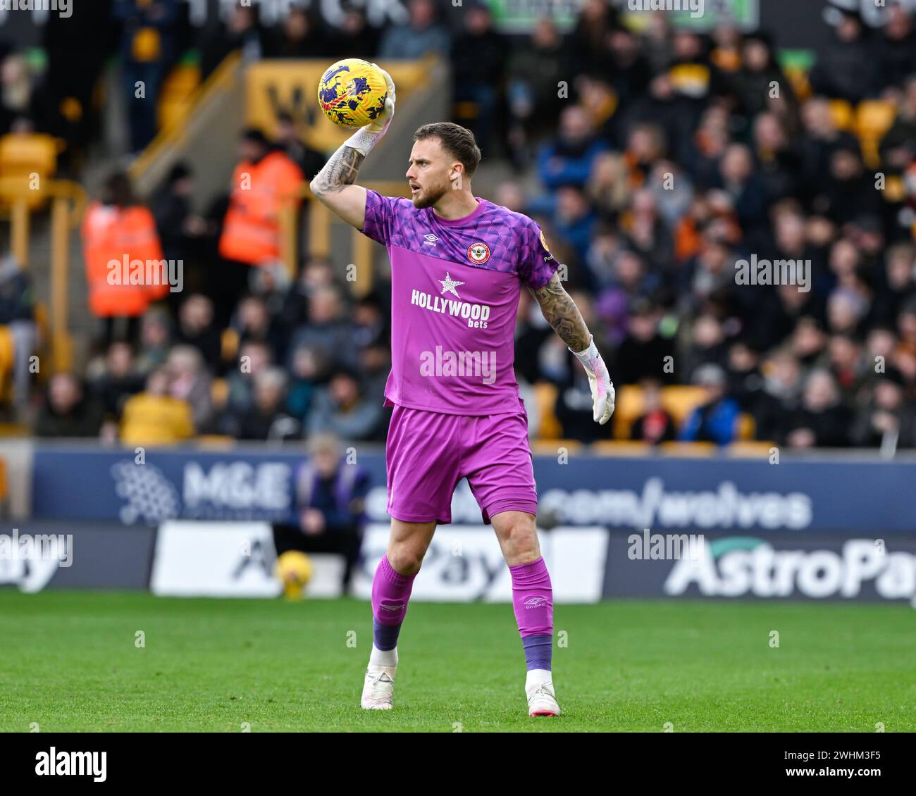 Wolverhampton, Royaume-Uni. 10 février 2024. Mark Flekken de Brentford, lors du match de premier League Wolverhampton Wanderers vs Brentford à Molineux, Wolverhampton, Royaume-Uni, le 10 février 2024 (photo de Cody Froggatt/News images) à Wolverhampton, Royaume-Uni le 2/10/2024. (Photo de Cody Froggatt/News images/Sipa USA) crédit : Sipa USA/Alamy Live News Banque D'Images