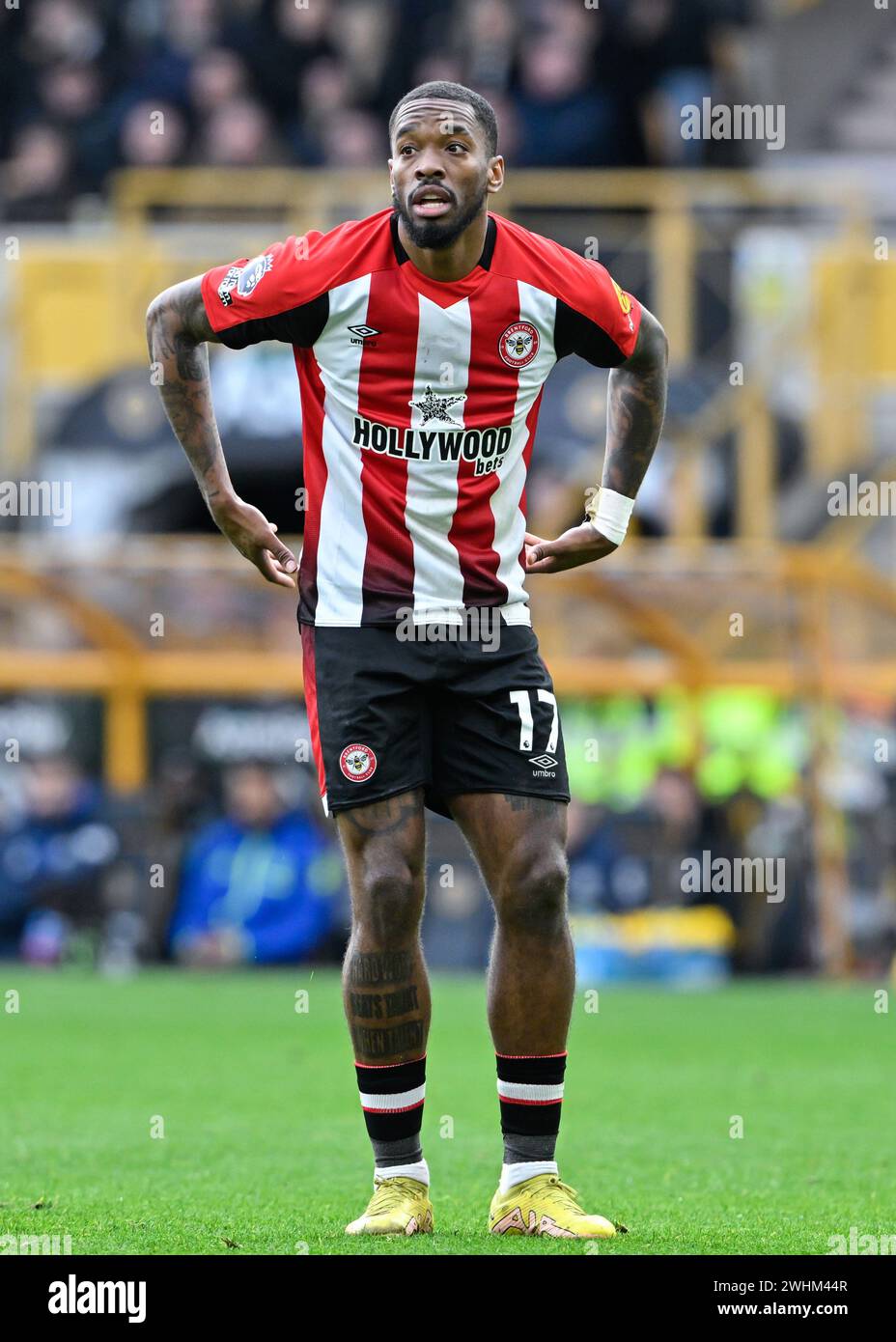 Wolverhampton, Royaume-Uni. 10 février 2024. Ivan Toney de Brentford, lors du match de premier League Wolverhampton Wanderers vs Brentford à Molineux, Wolverhampton, Royaume-Uni, le 10 février 2024 (photo de Cody Froggatt/News images) à Wolverhampton, Royaume-Uni le 2/10/2024. (Photo de Cody Froggatt/News images/Sipa USA) crédit : Sipa USA/Alamy Live News Banque D'Images