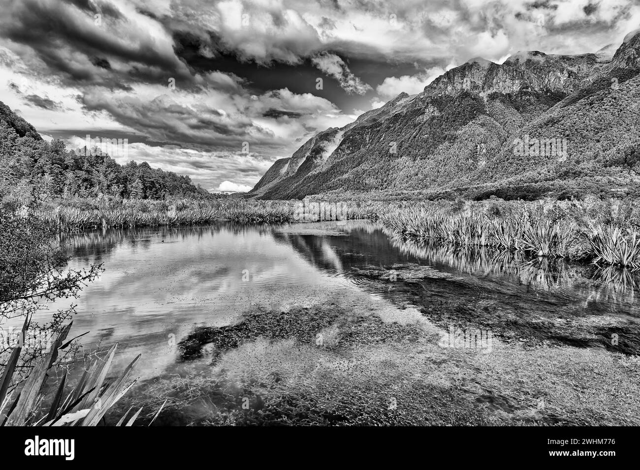 Spectaculaire contraste noir blanc paysage du lac miroir dans la vallée d'Eglinton du Fiordland sur l'île sud de la Nouvelle-Zélande. Banque D'Images