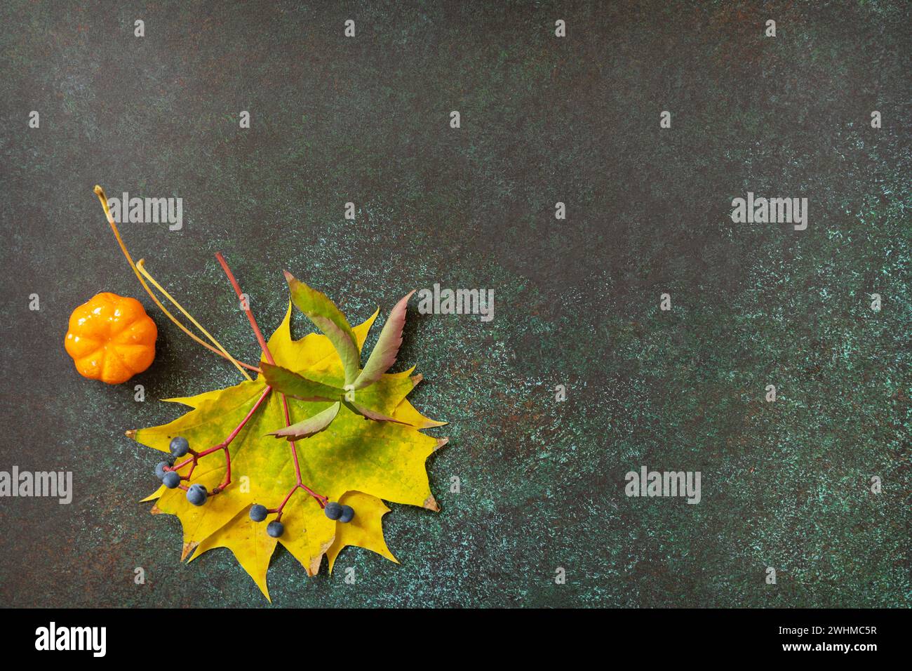 Composition d'automne avec des feuilles colorées et des baies de la nature d'automne. Ambiance automnale confortable. Carte de voeux pour les saisons d'automne. Banque D'Images