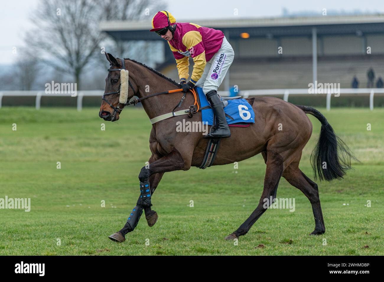 Quatrième course à Wincanton, le 2 mars 2022 Banque D'Images