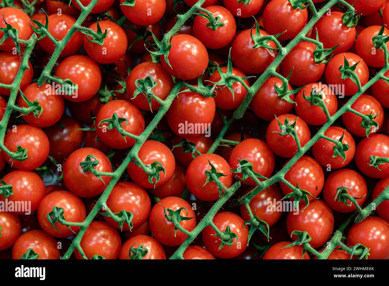 Tomates Cherry Banque D'Images