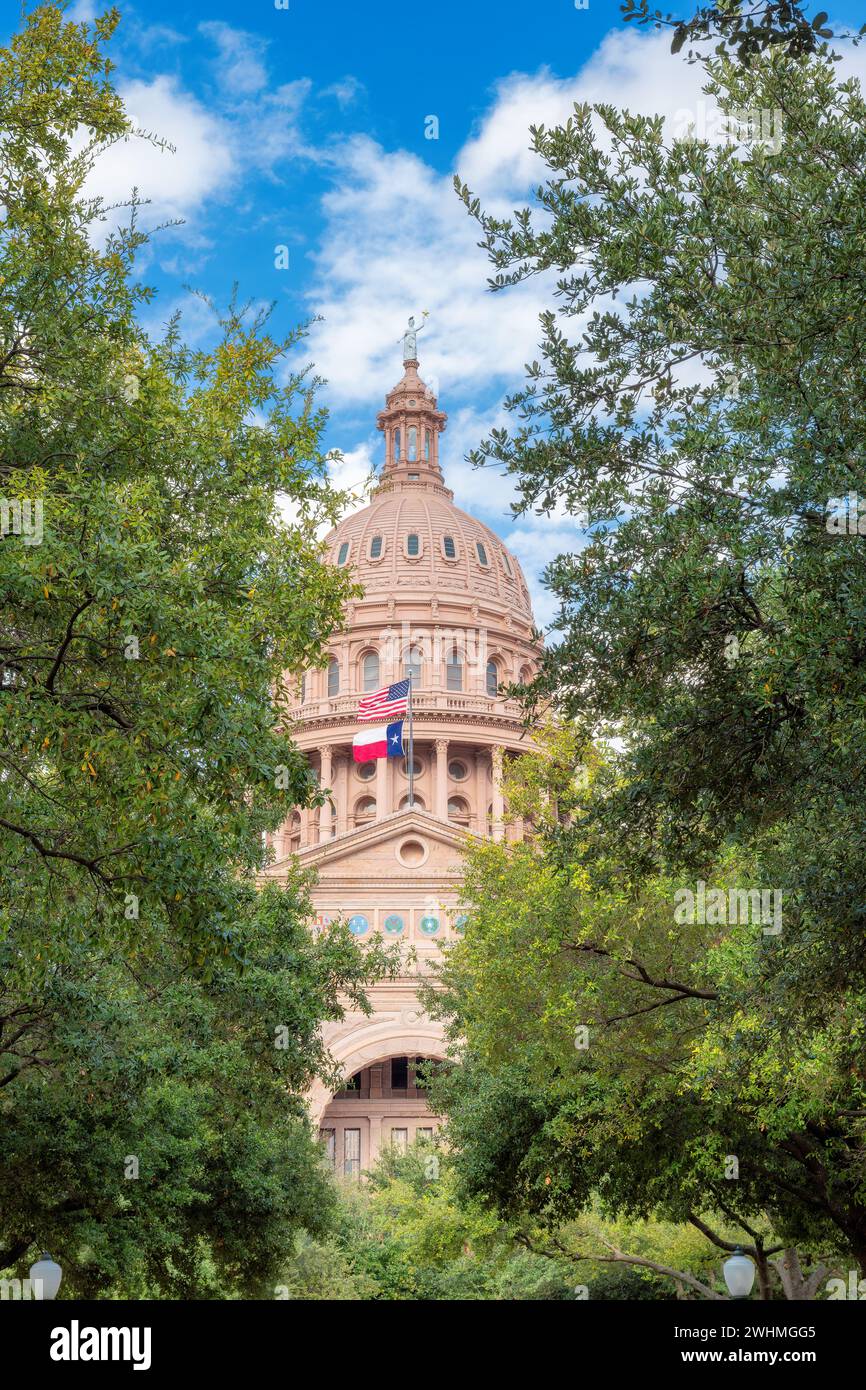 Le Texas State Capitol Building à Austin, Texas, États-Unis. Banque D'Images
