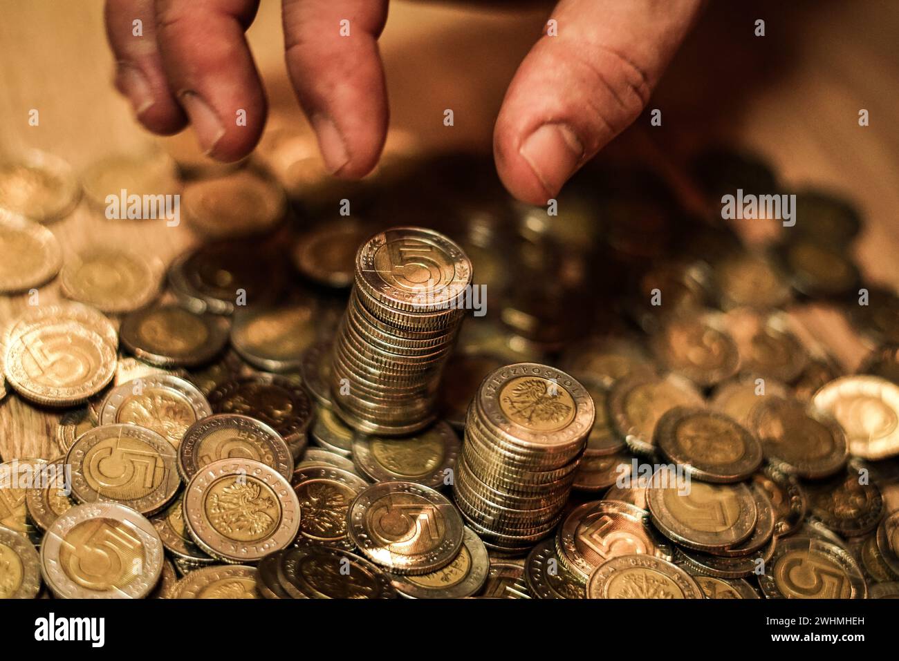 Pièces polonaises. Monnaie polonaise. Monnaie polonaise. Banque D'Images