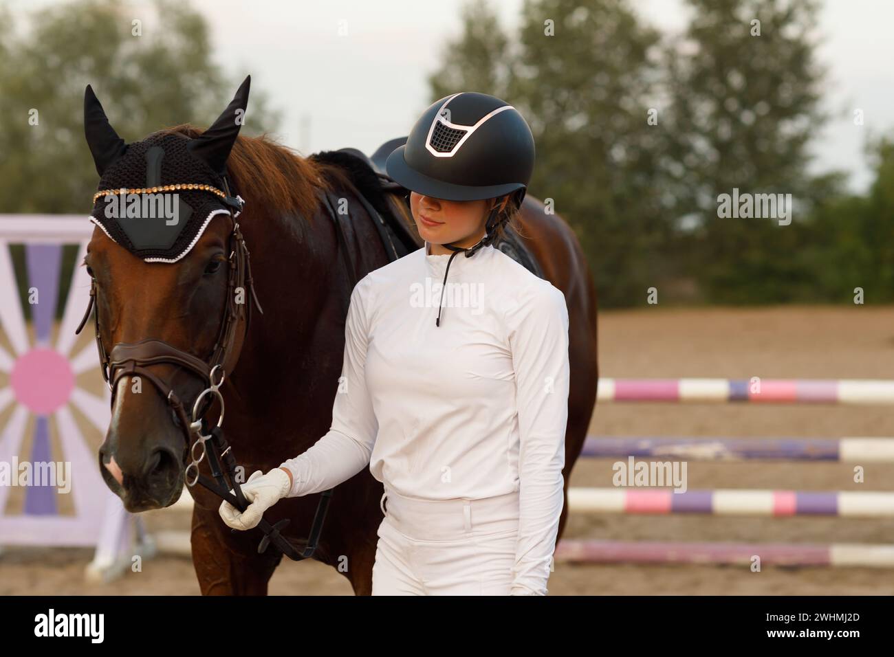 Cavalière jockey en uniforme tient une bride de cheval de dressage lors d'un spectacle de compétition de saut équestre. Banque D'Images