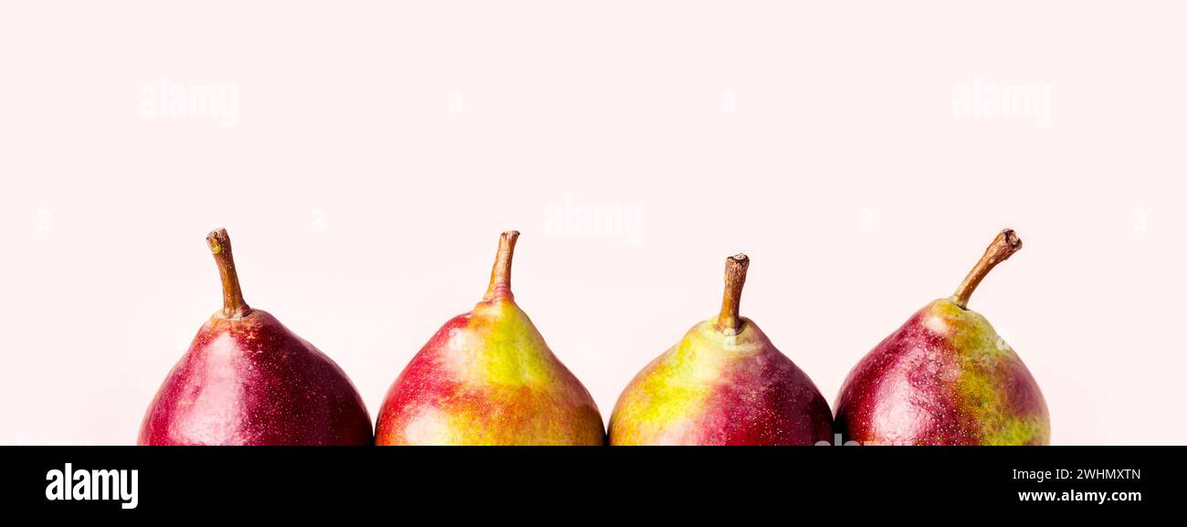 Poires mûres sur fond rose. Concept de récolte d'automne. Banque D'Images