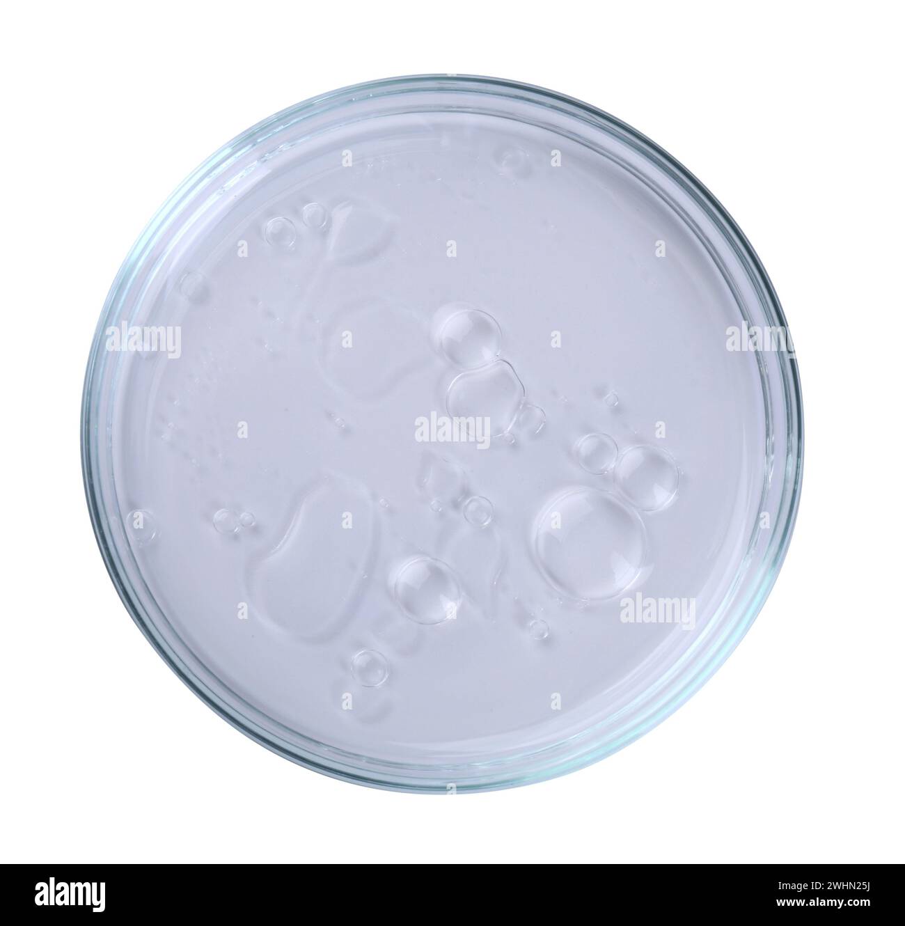 Boîte de Pétri avec échantillon liquide isolé sur blanc, vue de dessus Banque D'Images