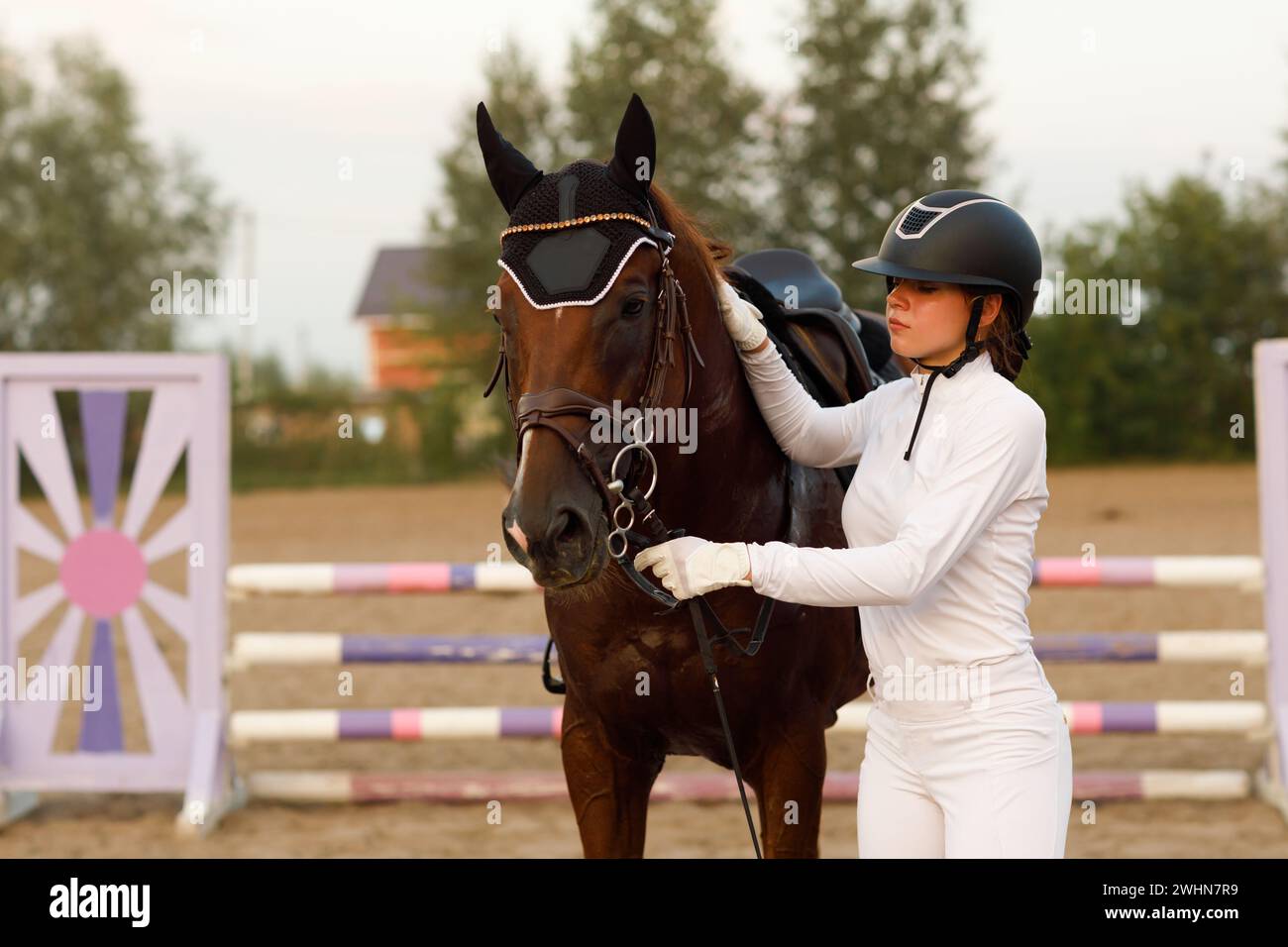 Cheval de dressage et cavalier jockey en uniforme portrait lors du spectacle de compétition de saut équestre. Banque D'Images