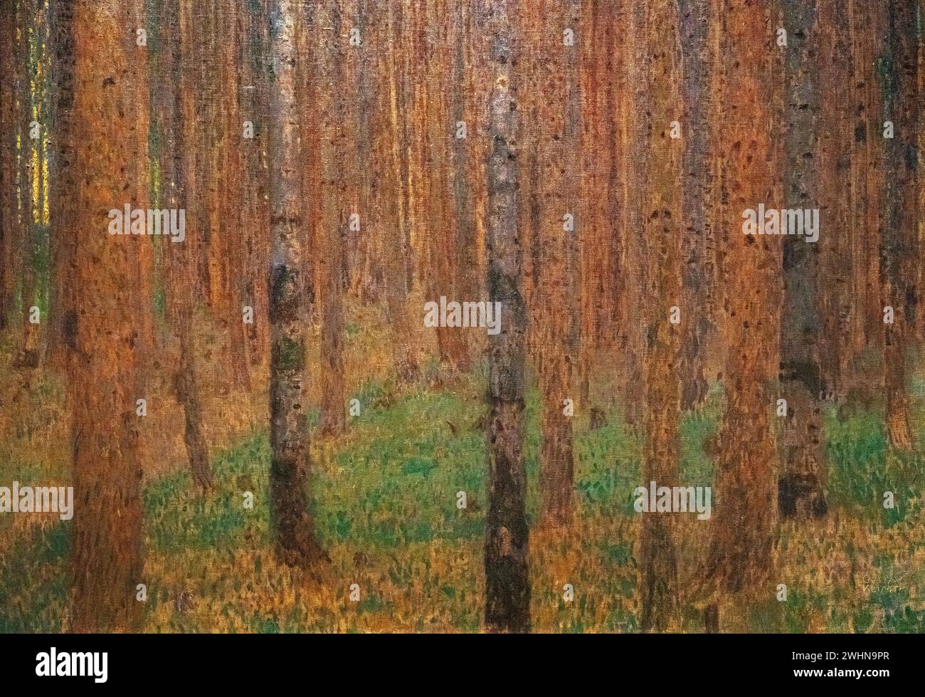 Peinture de Gustav Klimt en 1901, huile sur toile, appelée 'forêt de pins II' exposée au Musée d'Art de Baltimore Banque D'Images