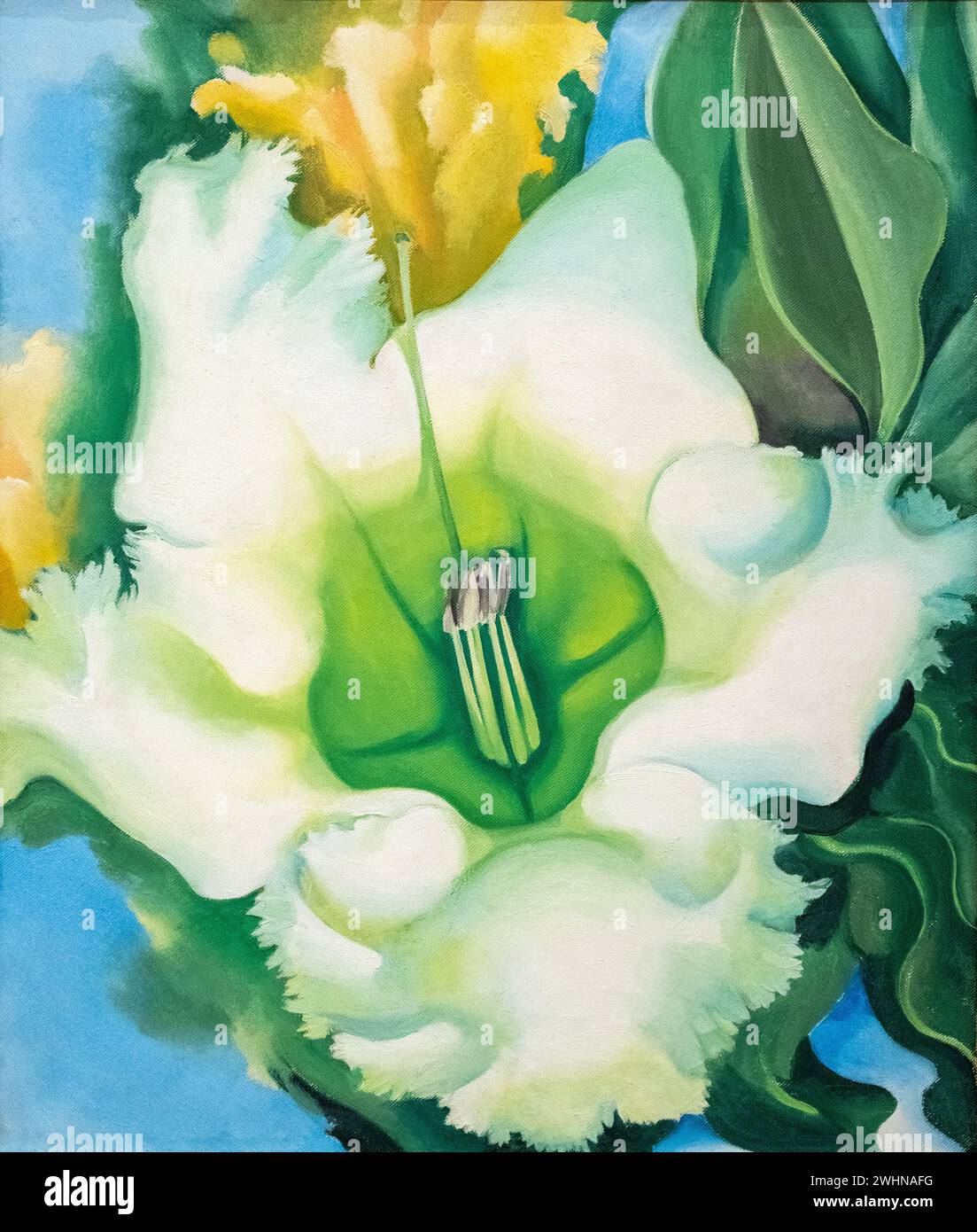 Georgia O'Keeffe 1939 huile sur toile peinture 'Cup of Silver Ginger' au Baltimore Museum of Art Banque D'Images