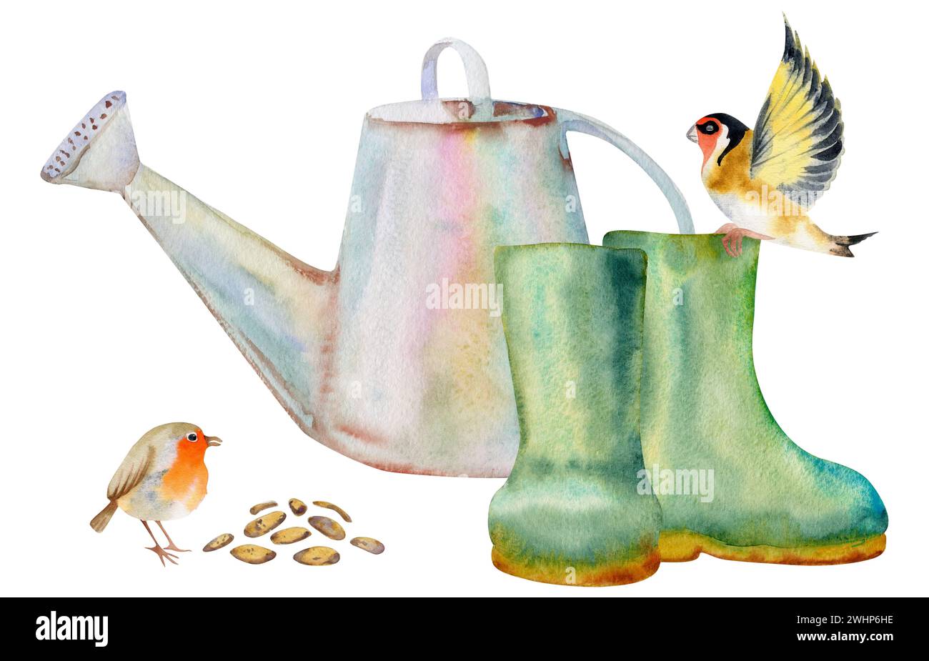 Illustration d'aquarelle dessinée à la main jardinage de printemps, arrosoir, bottes en caoutchouc, graines et oiseaux, rouge-gorge d'or. Composition isolée sur blanc Banque D'Images