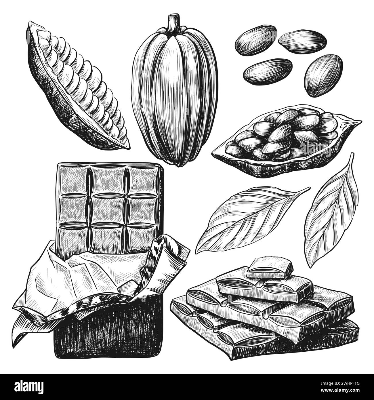 Barre de chocolat dessinée à la main et fèves de cacao, croquis noir et blanc isolé sur fond blanc. Illustration de nourriture vectorielle vintage. Illustration de Vecteur