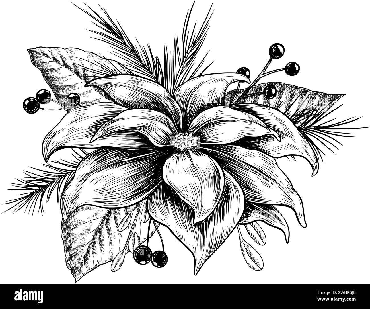 Illustration vectorielle de composition de fleurs de Noël Poinsettia Illustration de Vecteur