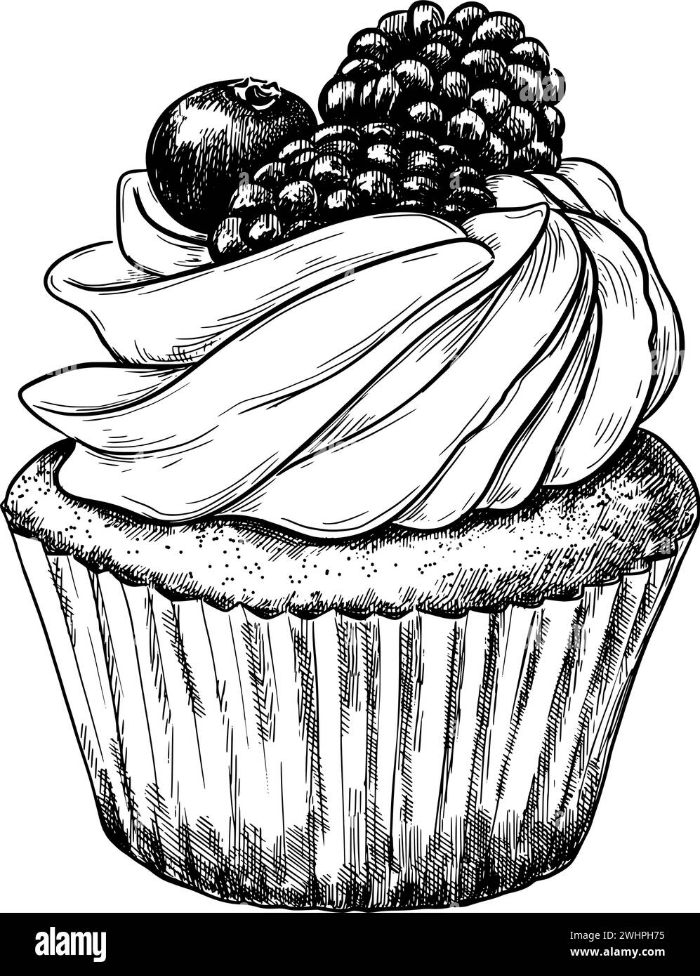 Illustration de nourriture vectorielle vintage de cupcake Illustration de Vecteur