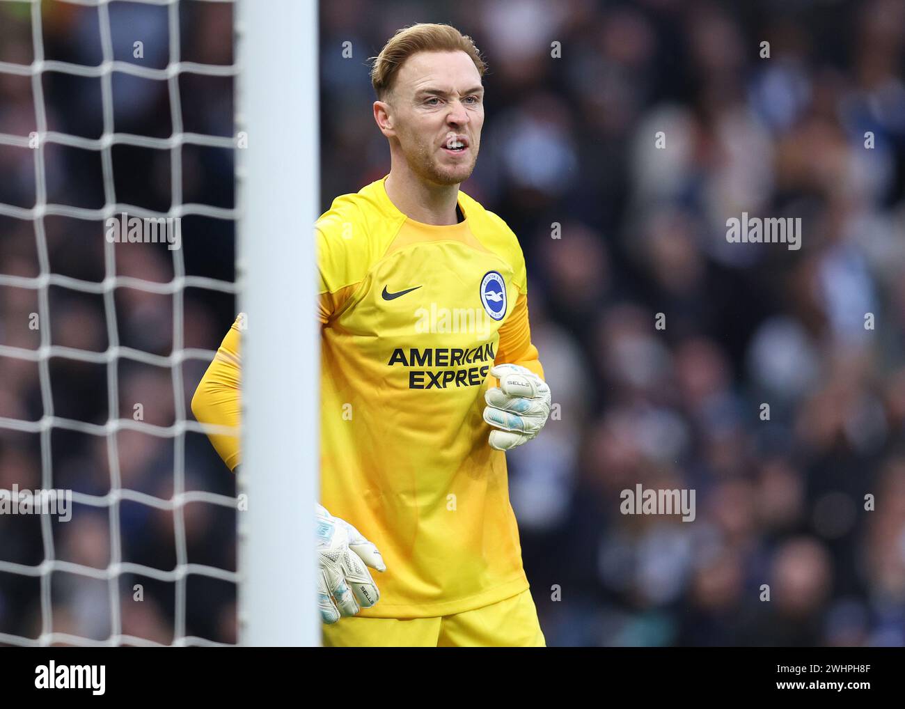 Londres, Royaume-Uni. 10 février 2024. Jason Steele de Brighton et Hove Albion lors du match de premier League au Tottenham Hotspur Stadium, à Londres. Le crédit photo devrait se lire : Paul Terry/Sportimage crédit : Sportimage Ltd/Alamy Live News Banque D'Images