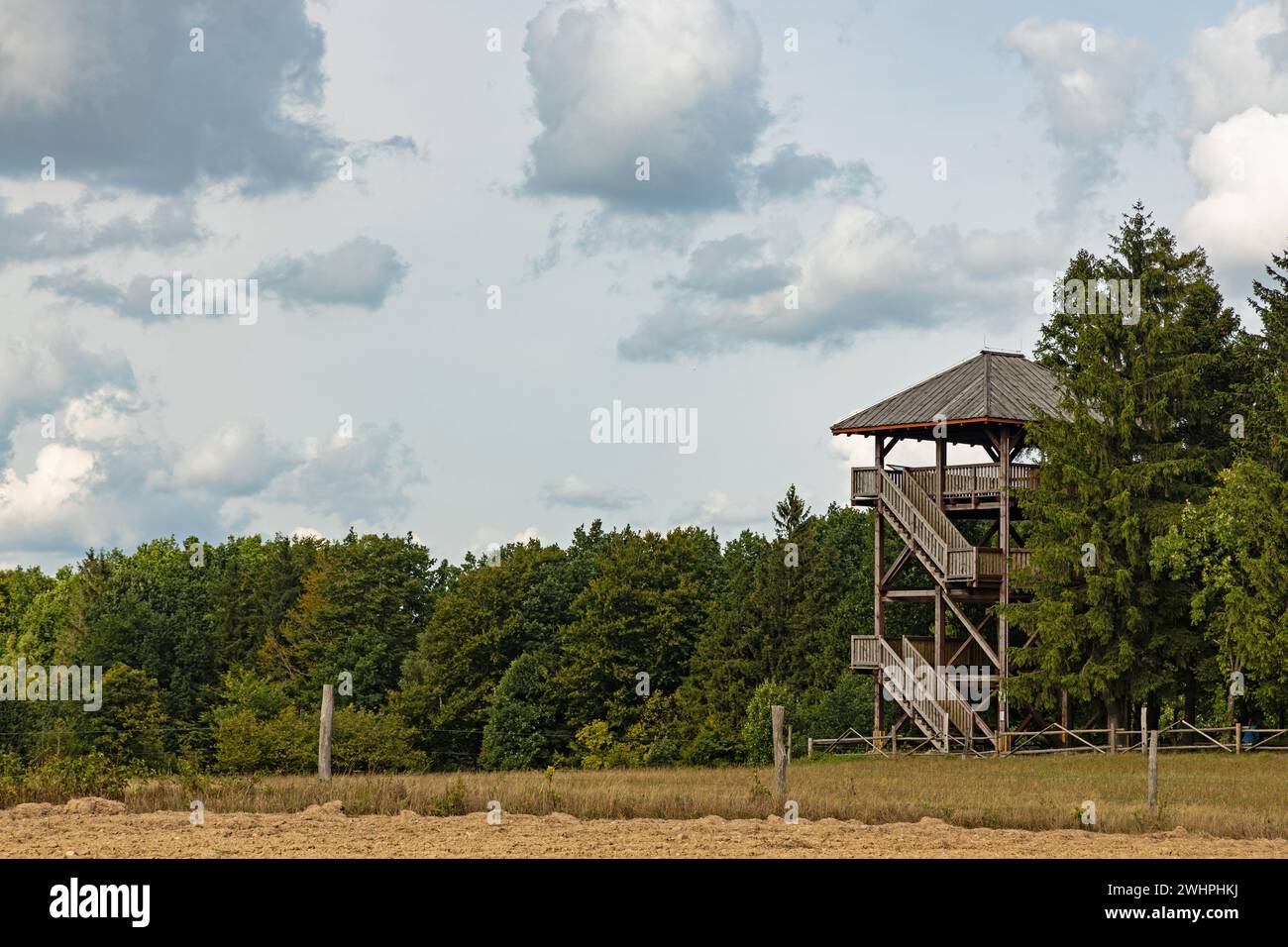 Paysage avec tour d'observation en bois sur la colline Dylewska Gora près de Wysoka Wies en Pologne Banque D'Images
