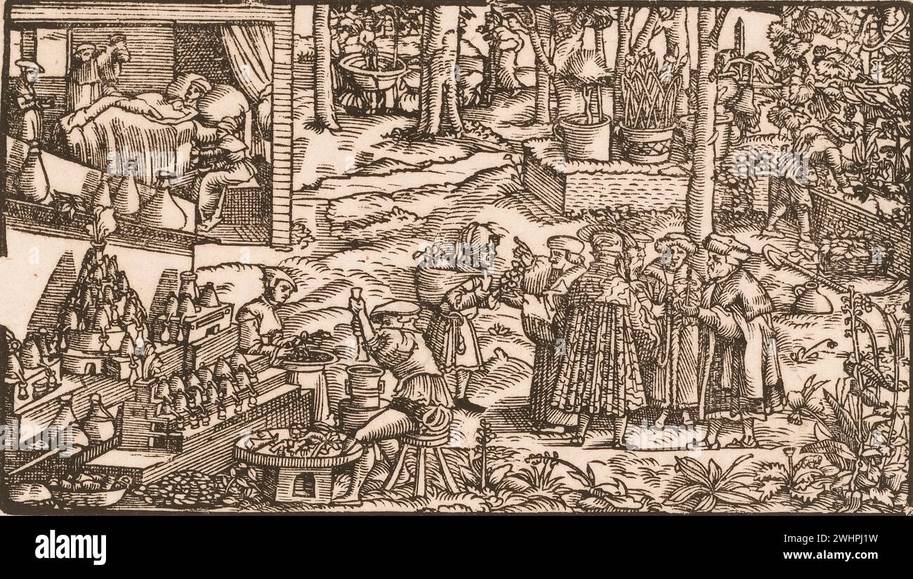 Illustration de la production de vin et d'autres boissons médicinales 1620 Banque D'Images
