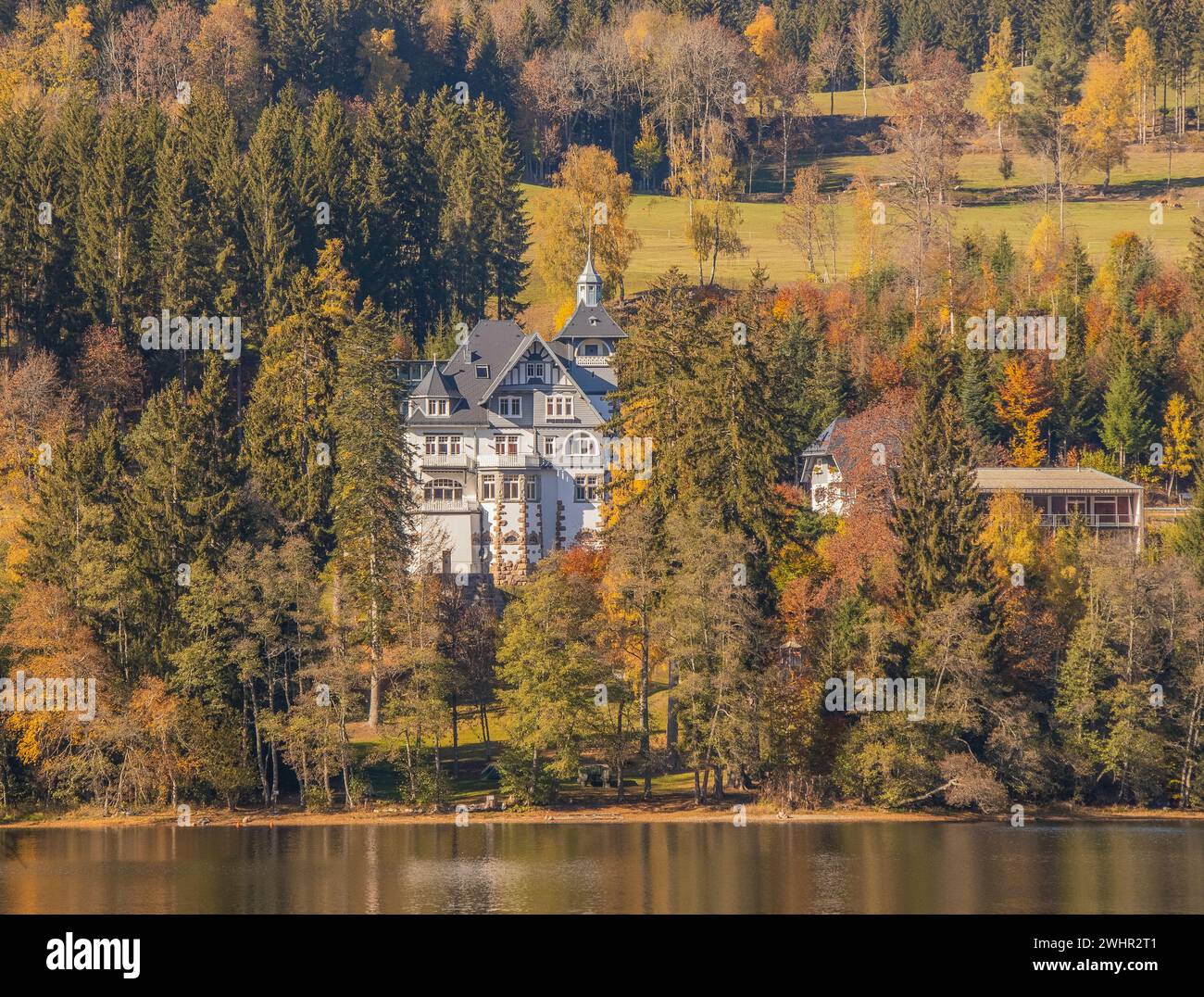 SchlÃ¶sschen am Titisee, Titisee-Neustadt, Breisgau-Hochschwarzwald Banque D'Images