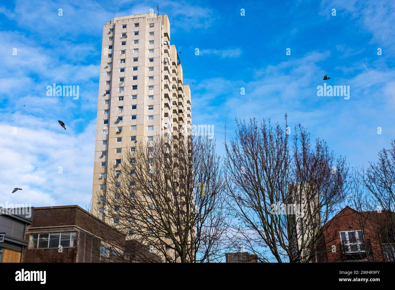 Appartements Tower Block et lotissement à Edmonton , Enfield , North London , Angleterre Royaume-Uni Banque D'Images