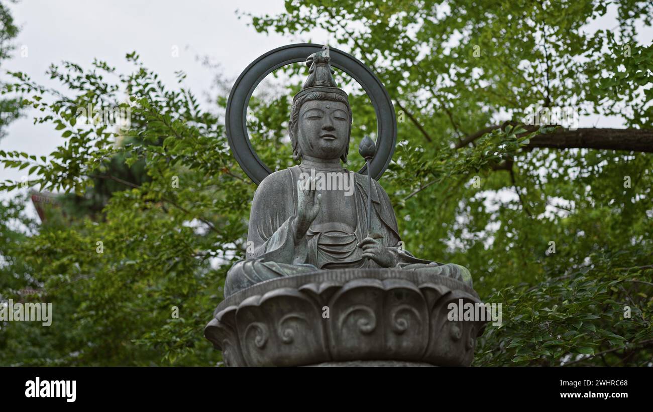 Une statue sereine de bouddha avec un halo se dresse au milieu d'une végétation luxuriante, symbolisant la paix et la spiritualité. Banque D'Images