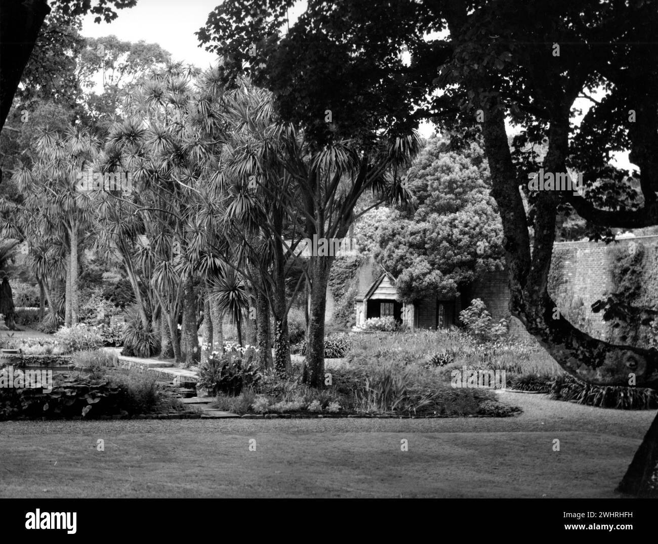 Jardin botanique de Port Logan, Dumfries & Galloway, Écosse - 5 août 1978 Banque D'Images
