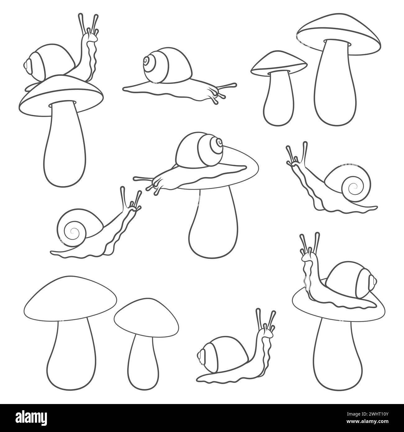Ensemble d'illustrations en noir et blanc avec des escargots et des champignons. Objets vectoriels isolés sur fond blanc. Illustration de Vecteur