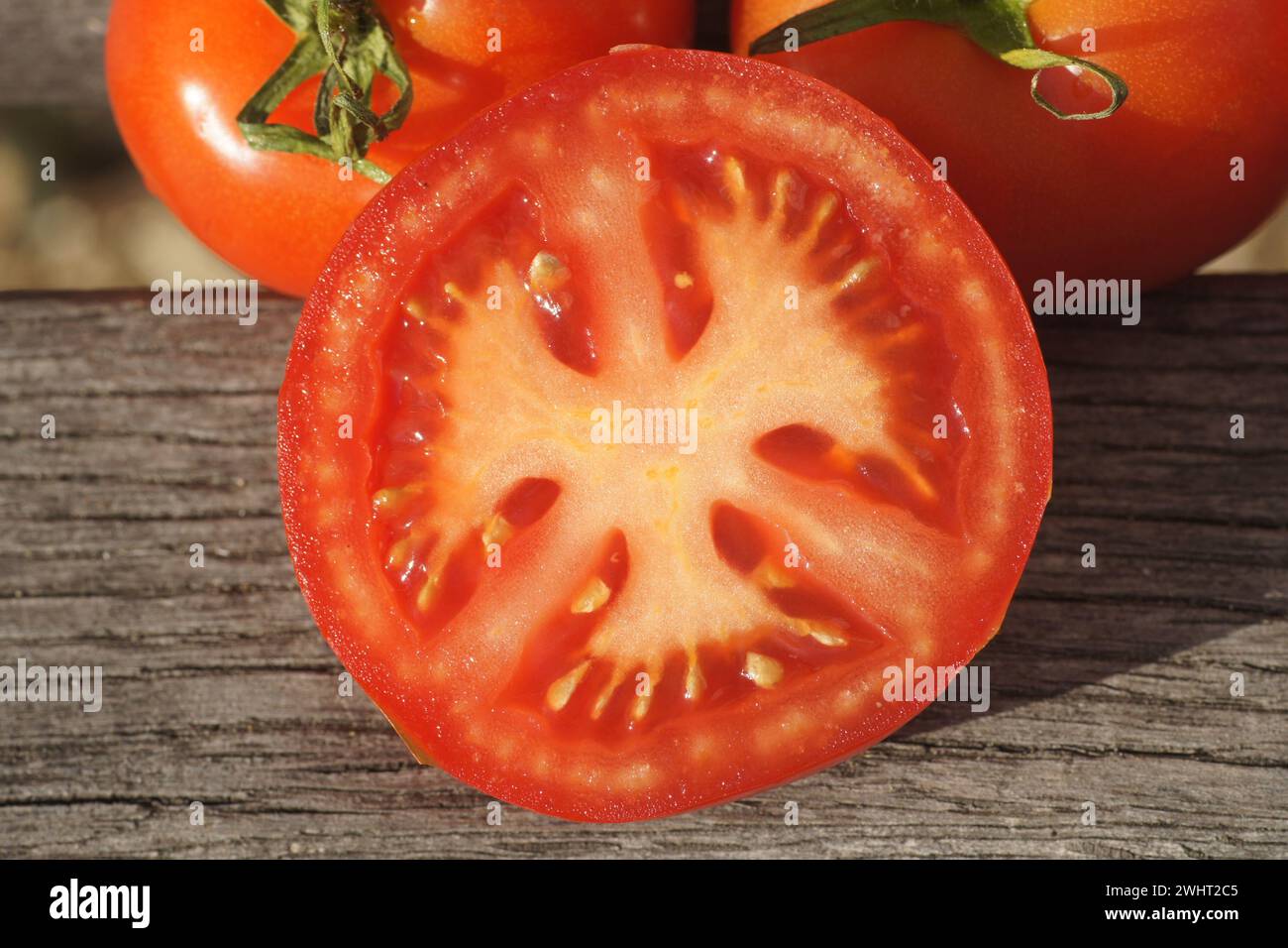 Lycopersicum esculentum, tomate Banque D'Images