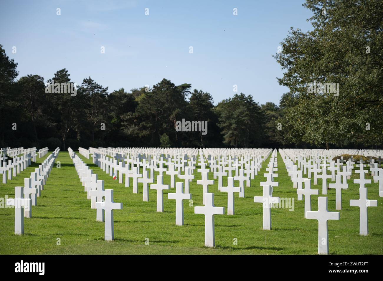 Détail de la multitude de croix blanches au cimetière américain de Normandie. Banque D'Images