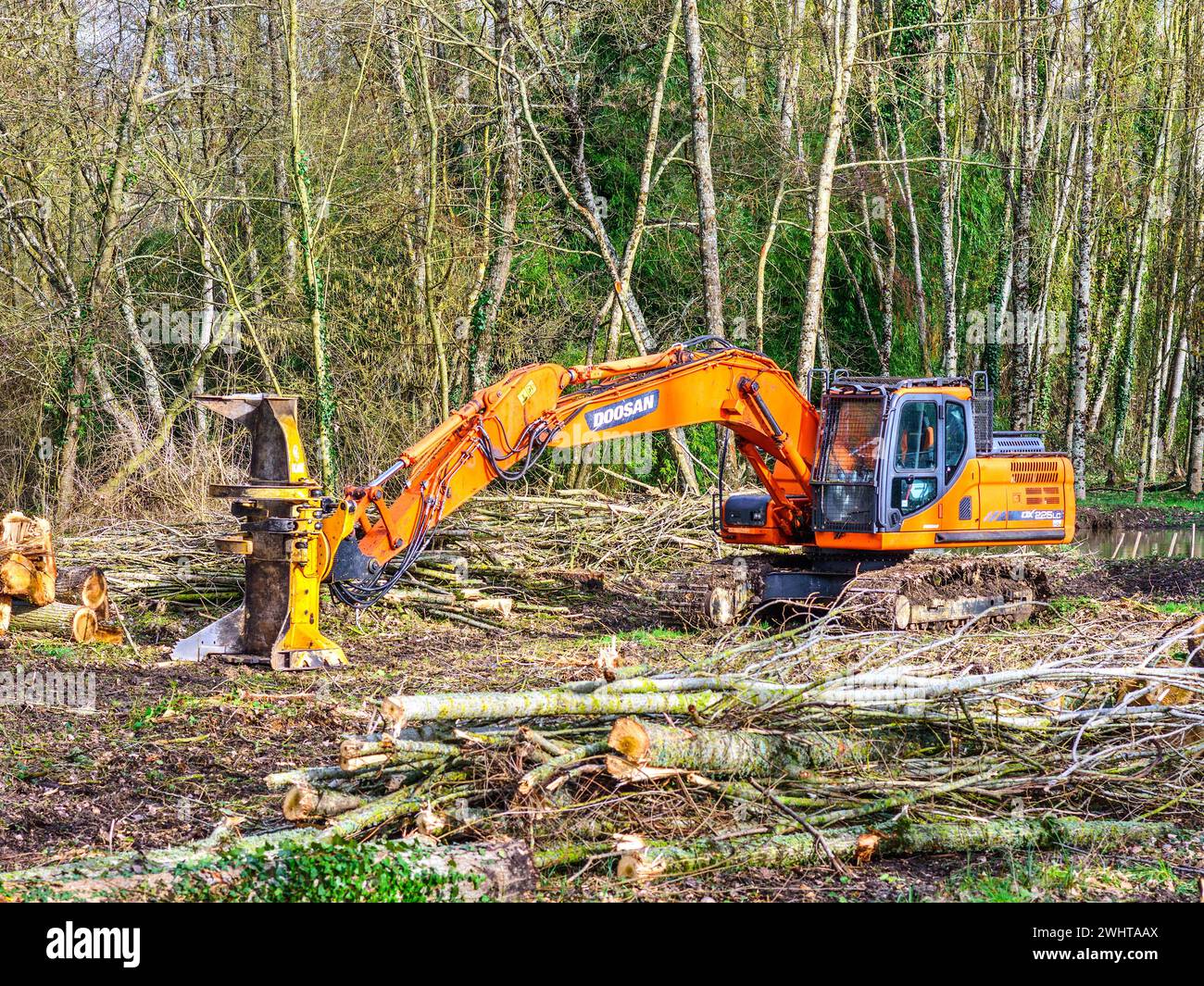 Machine à chenilles hydraulique Doosan DX225LC équipée d'un bras de coupe d'arbre / grumes - centre de la France. Banque D'Images