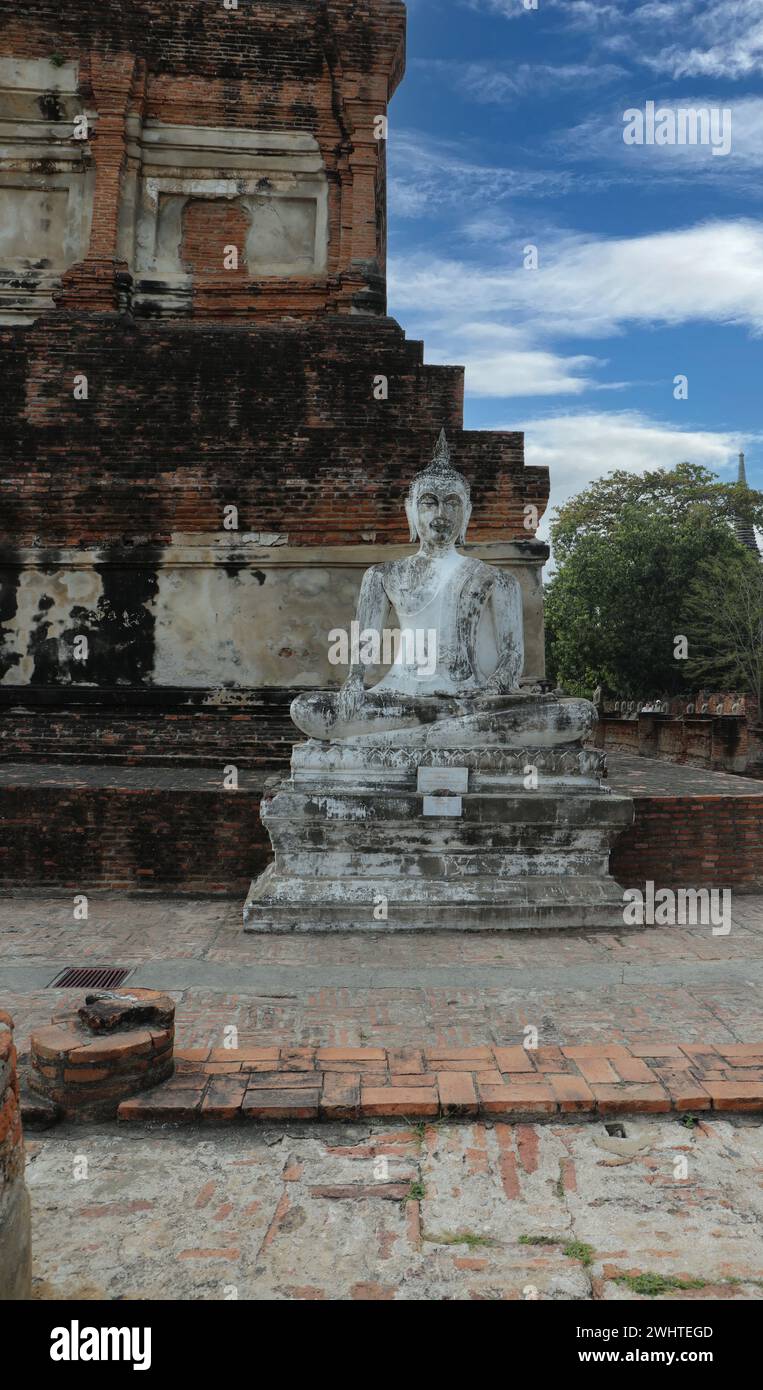 Une statue de Bouddha assis avec un palmier vers le haut, au temple principal, au monastère Wat Yai Chaimongkhon à Ayutthaya, Thaïlande, un naturel Banque D'Images