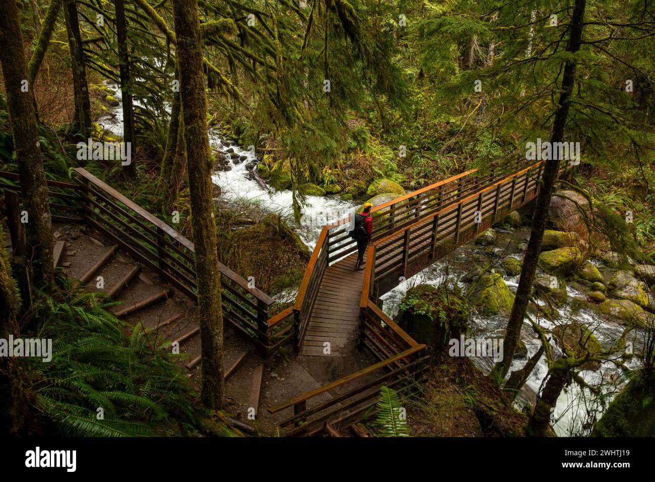 WA025053-00...WASHINGTON - randonneur traversant un pont robuste sur la Woody Trail dans le parc d'État de Wallace Falls. Banque D'Images